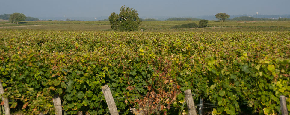 Domaine La Croix Mélier