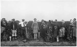 Domaine Crois Mélier - Historique