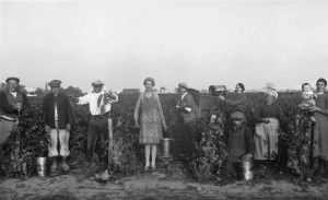 Historique Domaine la Croix Mélier