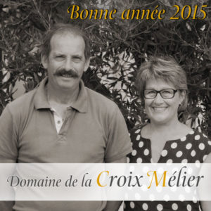 Bonne année 2015