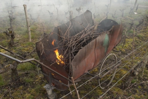 Charette artisanale pour brûler le bois de vigne