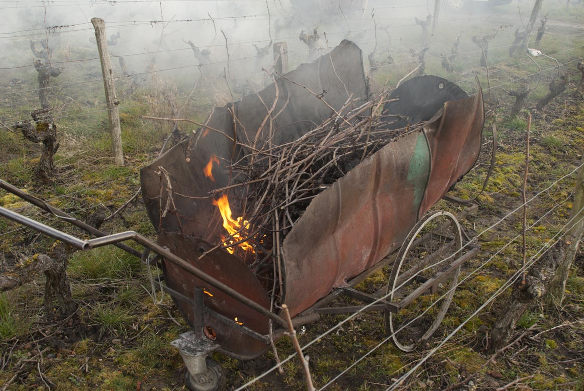 Charette artisanale pour brûler le bois de vigne