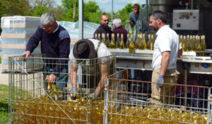 Mise en bouteille de la cuvée Lina