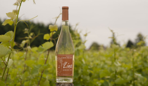 Berthelot - Domaine de la Croix Mélier - cuvée Lina